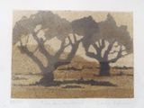 une photo d'une photo représentant deux arbres dans un champ