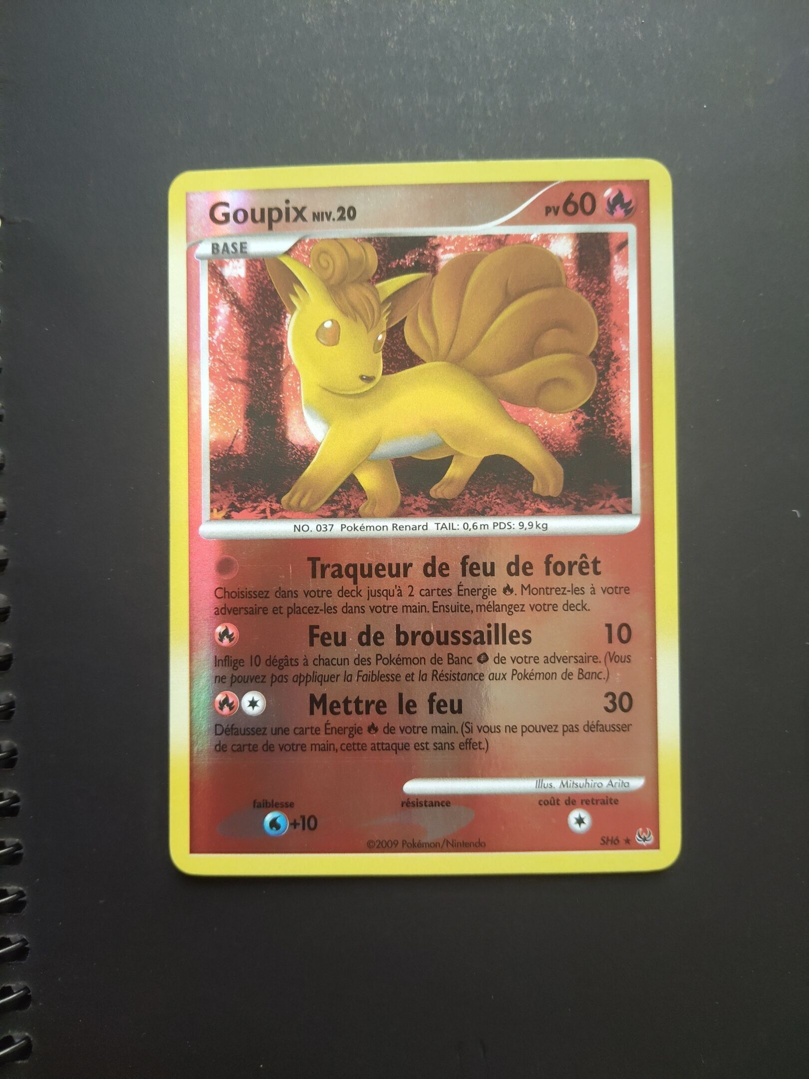 Objets d'art & Curiosités