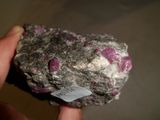 someone is holding a rock with a tag in their hand