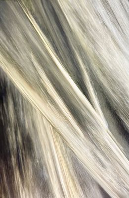 Jean-Baptiste ISAMBERT. Sans titre n°6 ou Cascade, 2012. Pho…