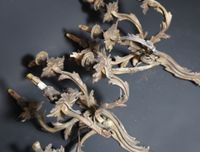 Paire d'appliques à 5 branches en bronze doré de style Louis… (photo 3)