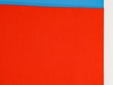 an image of a red and blue painting on a white wall