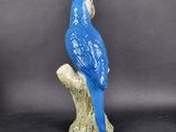 a blue bird sitting on top of a tree branch