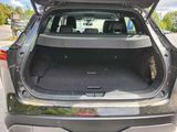 the back of a car with its trunk open and a dog sitting in the trunk