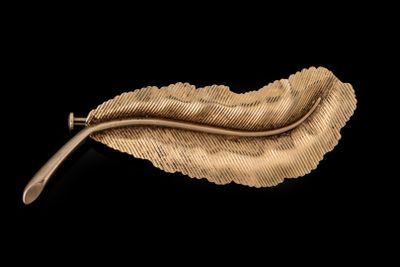 une image représentant une broche en forme de feuille d'or sur fond noir