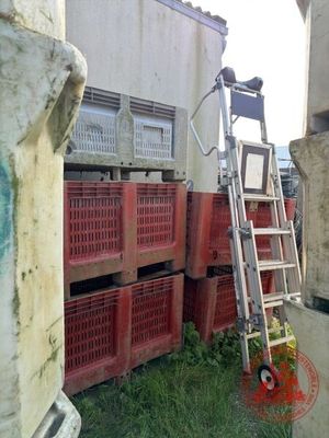 une échelle appuyée contre un mur, à côté d'une pile de caisses