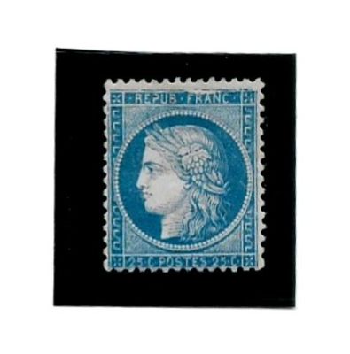 un timbre bleu et blanc sur lequel figure le visage d'une femme
