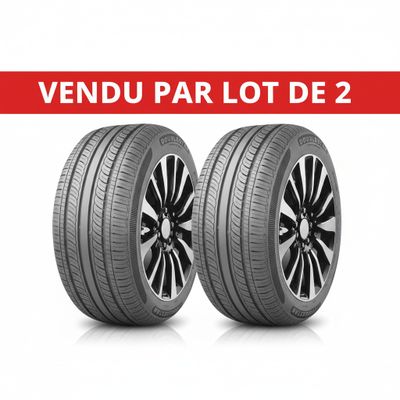 Lot de 2 - DOUBLESTAR - Pneu automobile - 165/65R14 79T - Ne…
