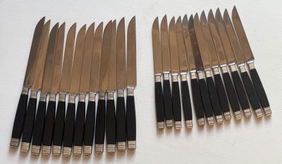 Plusieurs couteaux sont alignés sur une surface blanche, avec des manches noirs.