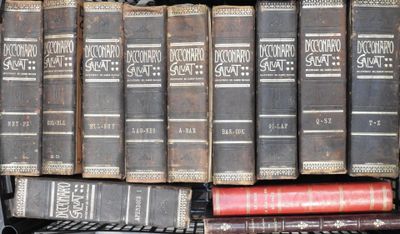 Littérature Lot de 12 volumes dont le Dictionario Salvat, La…