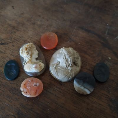 tout un tas de pierres différentes posées sur une table en bois