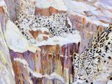 painting of snow leopards resting on a snowy mountain side