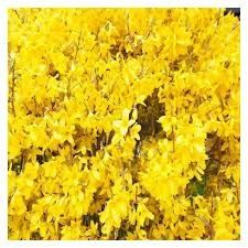 Destockage & Invendus