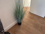 a vacuum that is sitting on the floor next to a potted plant