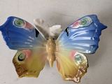 a blue and yellow butterfly on a white wall