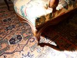 un chat assis sur une chaise dans une pièce