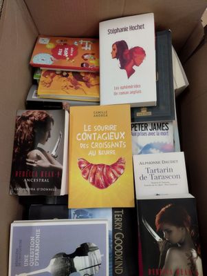 plusieurs livres superposés dans une boîte
