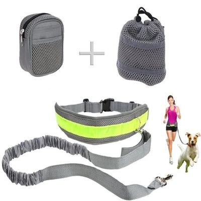 une femme qui promène son chien et un sac contenant une laisse