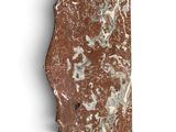 marble slab of a rock on a white surface with a brown patt