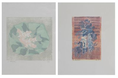 deux tableaux représentant des fleurs et un vase sur un fond blanc