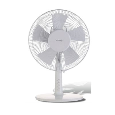 une image représentant un éventail blanc posé sur une surface blanche