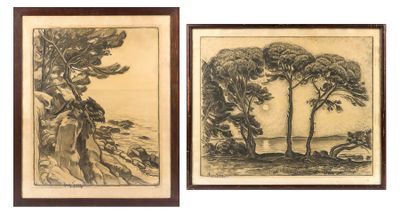 two framed drawings of trees on a hill with a lake in the background