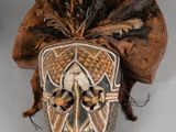 an image of a close up of a mask with feathers on it