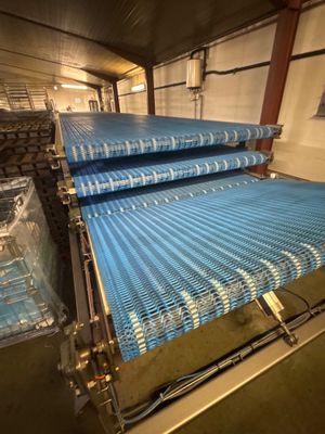 un tapis roulant dans une usine, avec un tapis roulant bleu