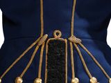 the back of a blue jacket with gold buttons on it