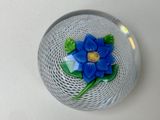 un objet en verre contenant une fleur bleue