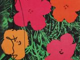 flowers on a black background with red, orange, yellow, and green