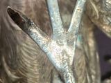a statue of a bird that is holding a bird ' s hand