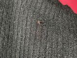 a small bug that is sitting on the back of a sweater