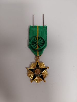 an image of a green and gold medal with a star on it