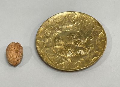 a gold coin and a walnut on a white surface