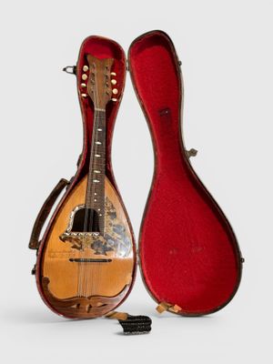 un étui rouge contenant une guitare
