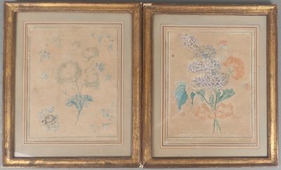 deux tableaux représentant des fleurs, encadrés, accrochés au mur d'une pièce