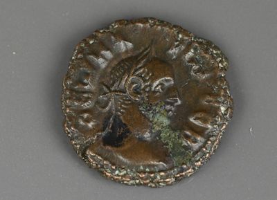 une image d'une pièce de monnaie sur laquelle figure le portrait d'une femme