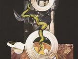une image représentant un tableau où l'on voit un serpent posé sur une table, à côté d'un bol de nourriture