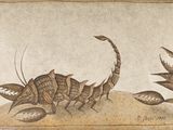 une image représentant un dessin d'un scorpion et d'un oiseau
