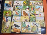 a picture of a book with pictures of birds on it