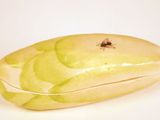 une banane sur laquelle est posée une mouche, posée sur une surface blanche