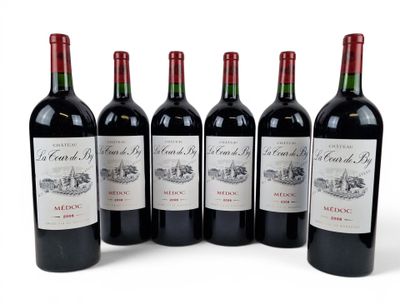six bottles of red wine are lined up in a row