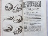 an open book with a drawing of skulls and skulls on it