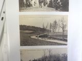 pictures of people and animals on the wall of a building