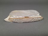 an image of a white purse with silver sequins on it