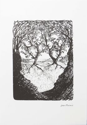a black and white drawing of two trees in a forest