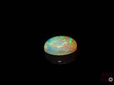 an image of an oplite in the dark
