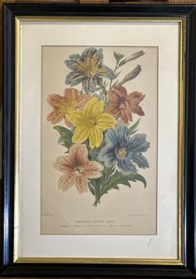 an image of a picture of a bunch of flowers in a black frame