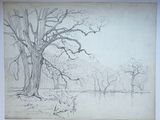 dessin au crayon représentant un arbre dans un champ, avec un étang au premier plan